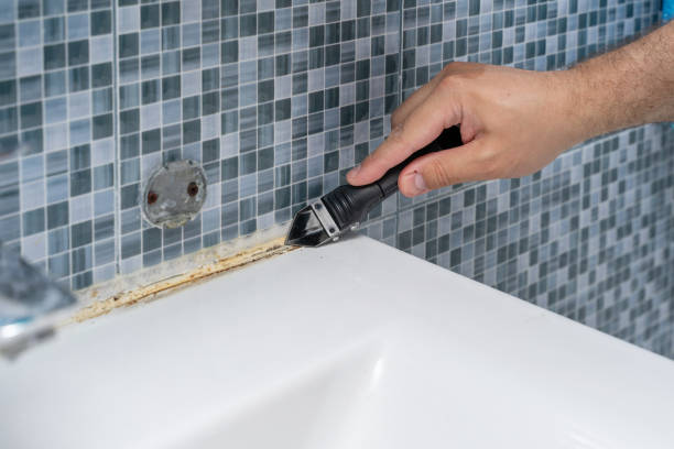 Best Fast Mold Removal  in Taylor, TX
